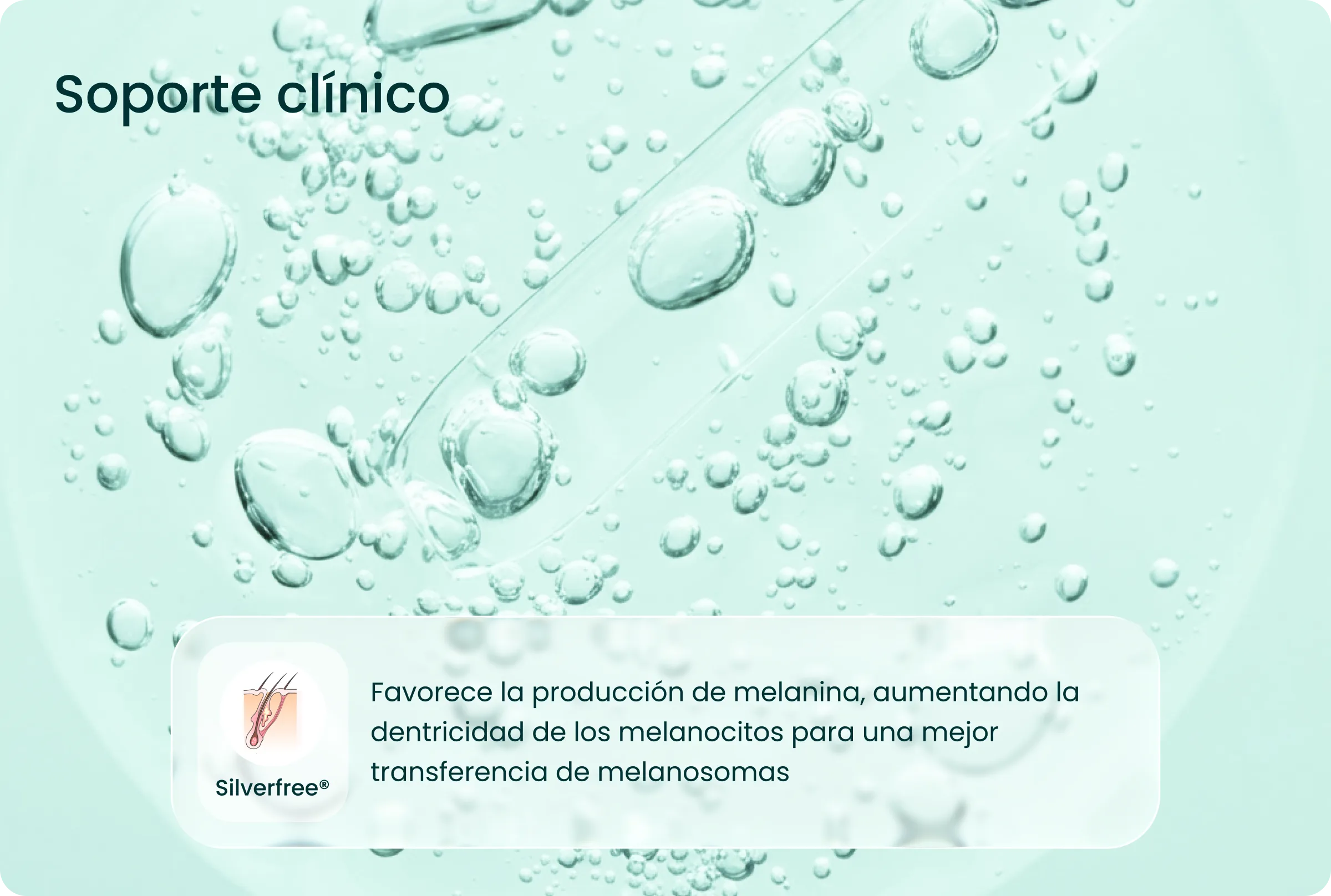 Soporte activo silverfree
