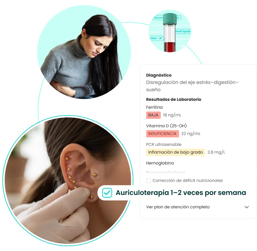Equipo médico de auriculoterapia Rogans
