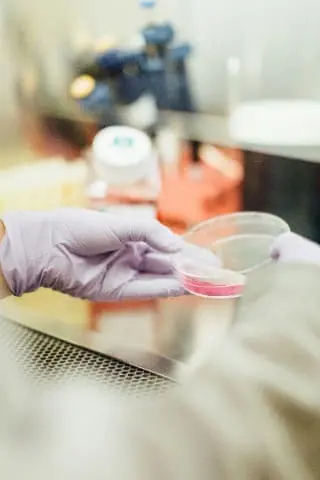 Tu compatibilidad farmacológica