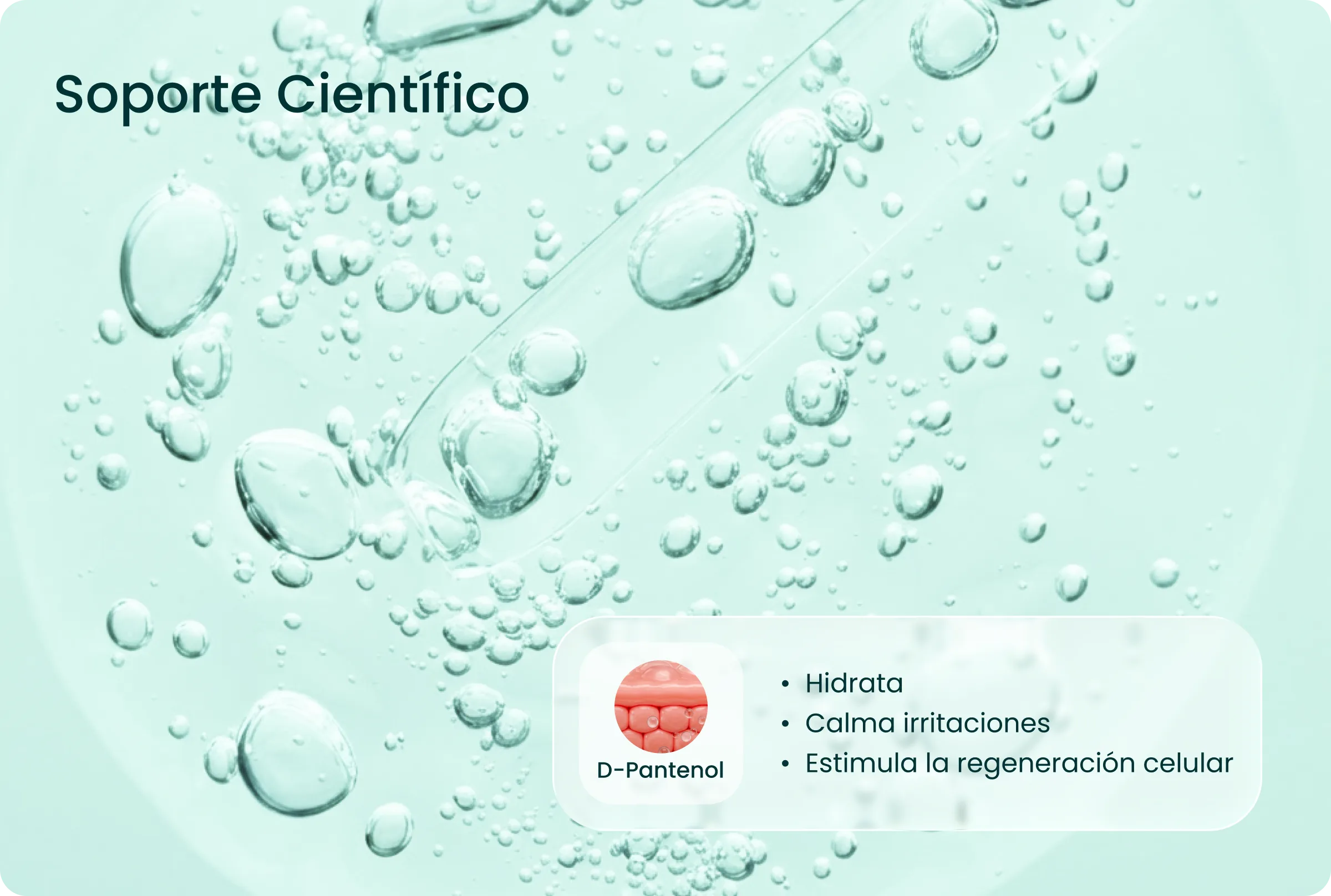 Ingredientes Crema de Ácido Hialurónico