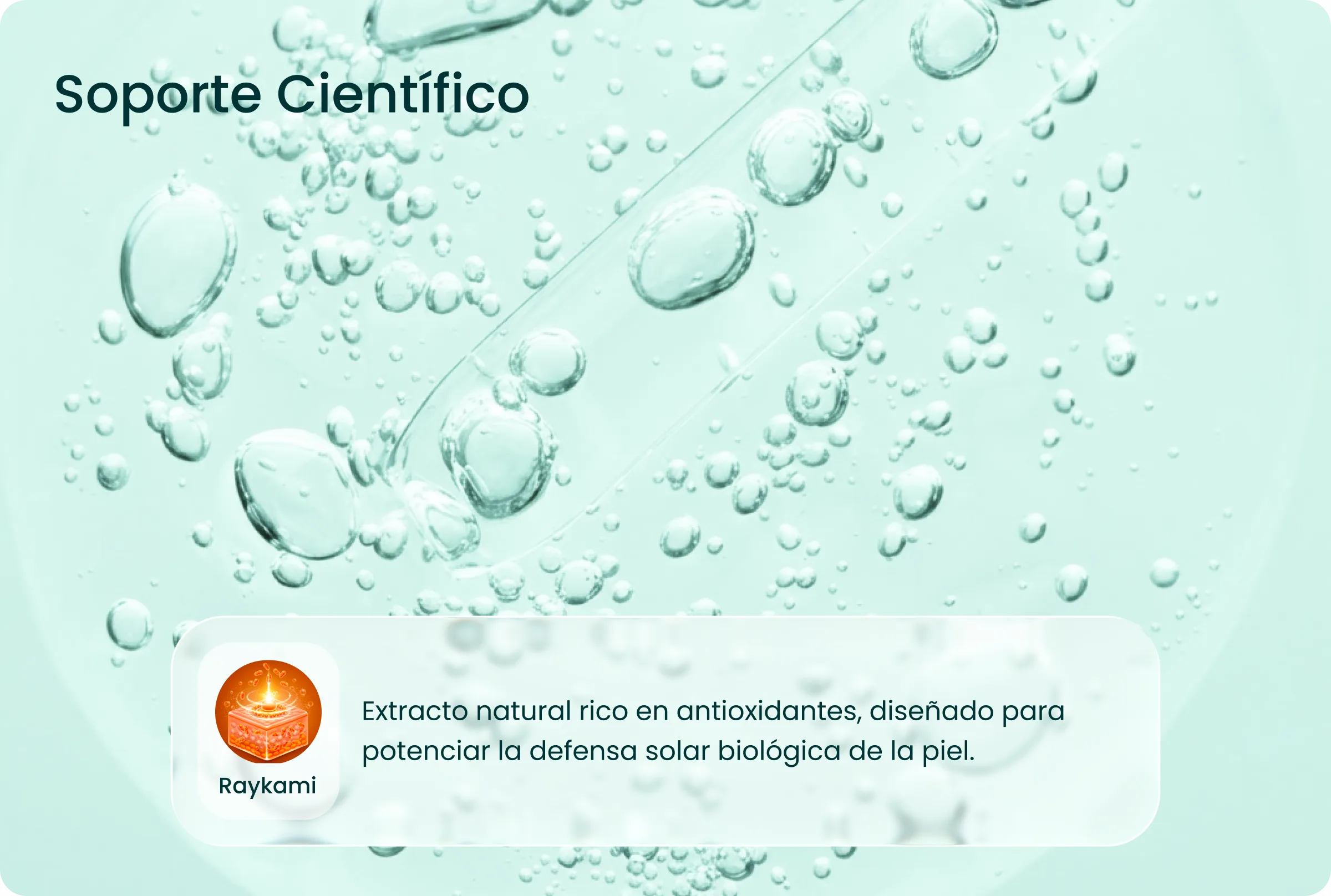 Soporte científico Raykami