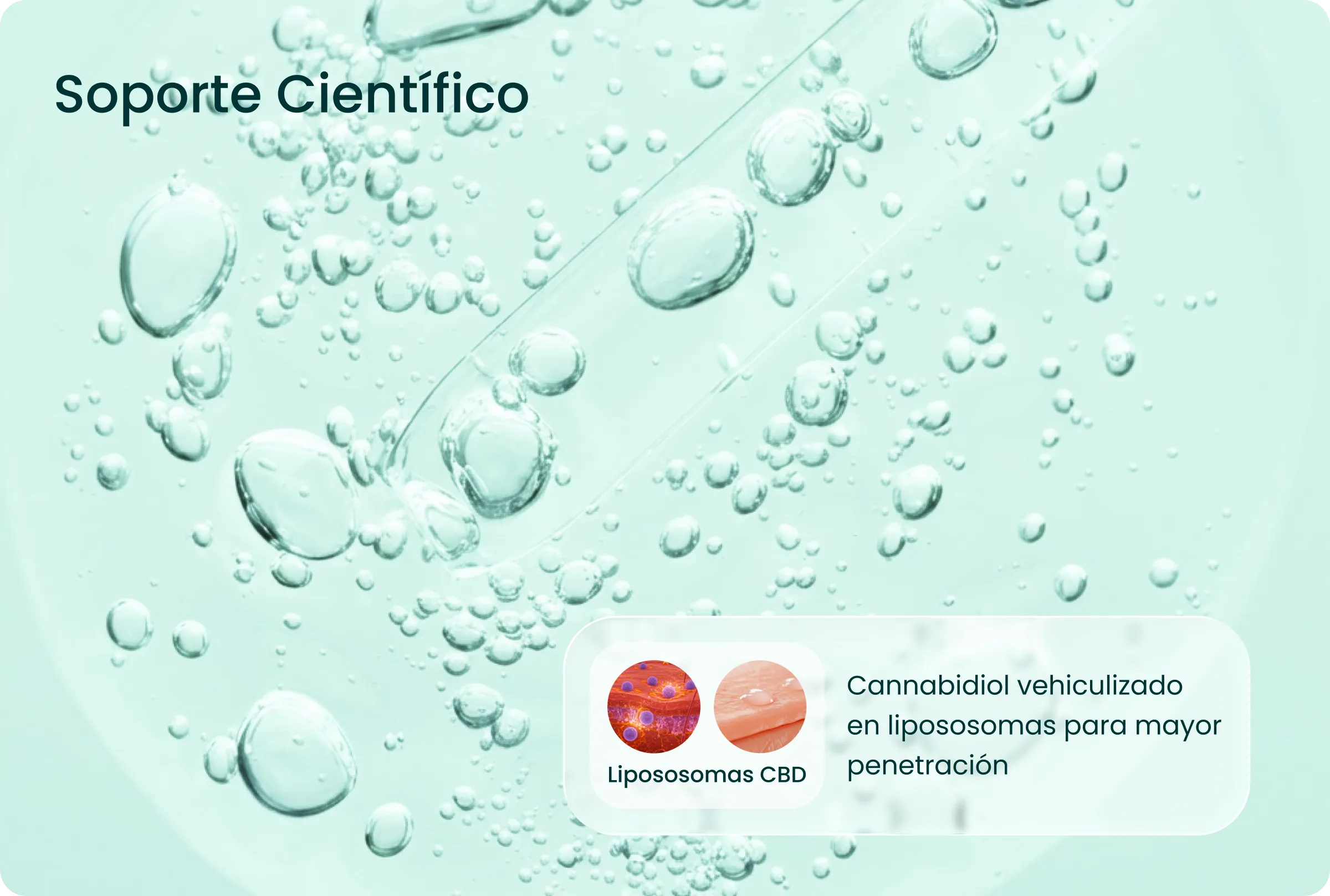 Ingredientes Serum Facial
